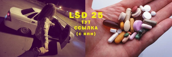 стаф Абаза