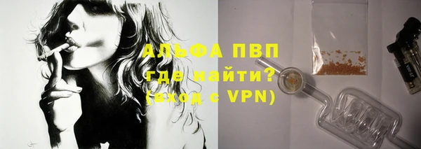 стаф Абаза